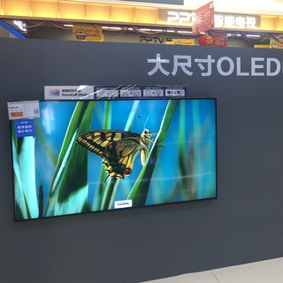 过年添大件?OLED电视选择不完全指北