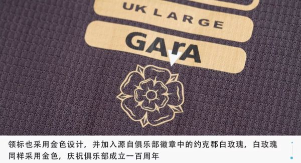 这样的球衣谁能拒绝?