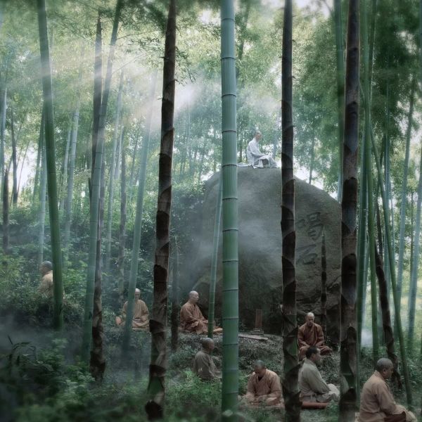 摄影金像奖得主张望入驻图虫,他的作品让人看了想出家