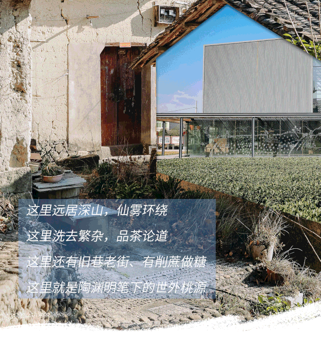 有些人已经不在杭州过年了,因为他们学会了“修仙”!