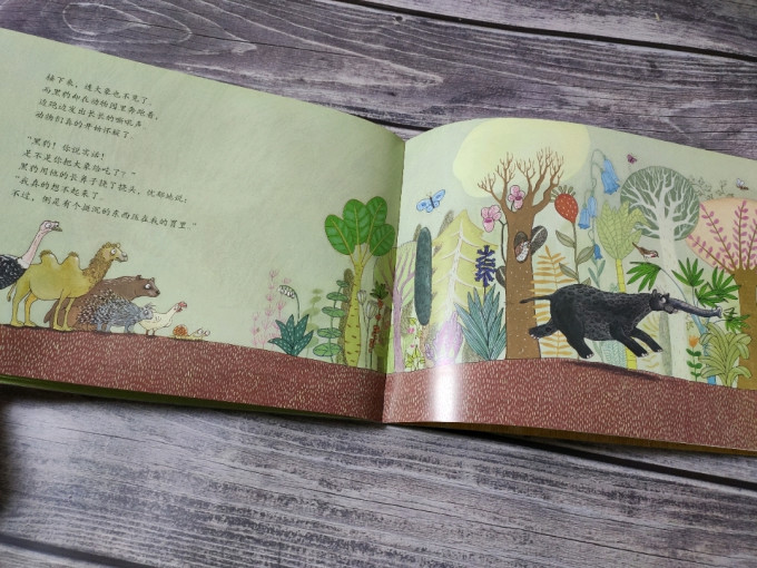 绘本/图画书