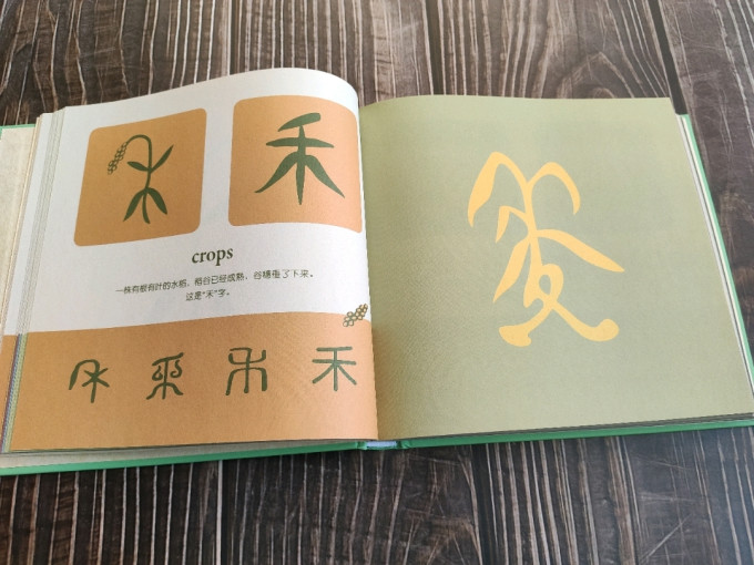 绘本 汉字是画出来的 晒物 什么值得买