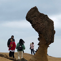 台湾旅游攻略day2：基隆野柳地质公园、南投溪头自然教育园区