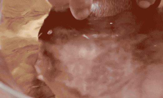 猪身上这个,又嫩有滑,抗氧化,防衰老,要多吃啊!