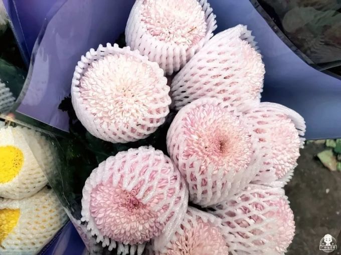 可用063.jpg 富贵竹8蚊/扎,百合10蚊/扎…广州这个花卉市场,买花只要白菜价!