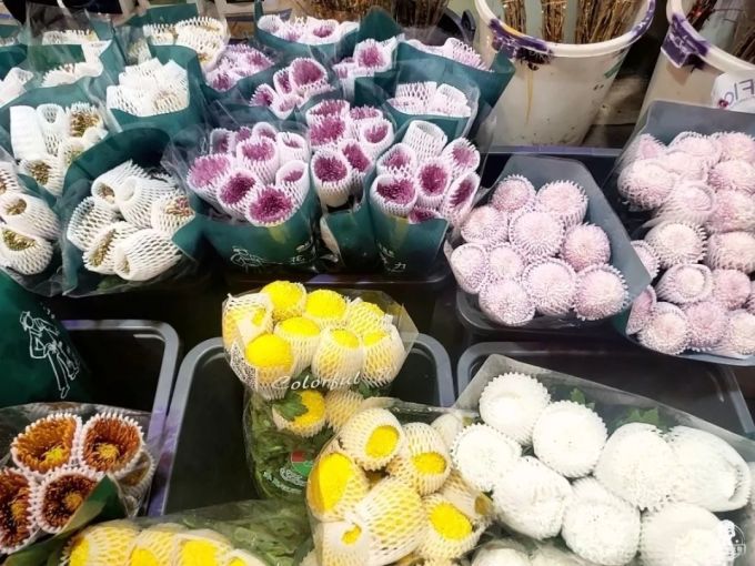 可用187.jpg 富贵竹8蚊/扎,百合10蚊/扎…广州这个花卉市场,买花只要白菜价!
