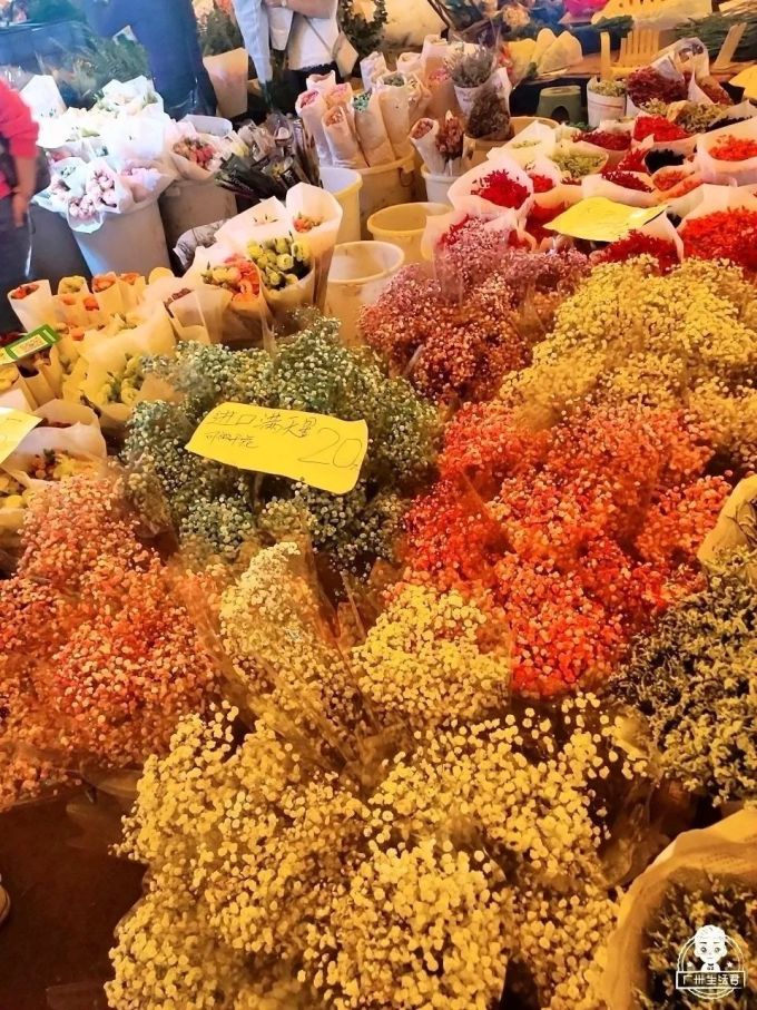 可用120.jpg 富贵竹8蚊/扎,百合10蚊/扎…广州这个花卉市场,买花只要白菜价!