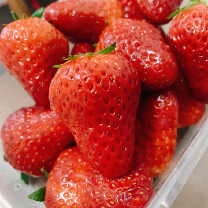 拼夕夕真香丹东99草莓实拍