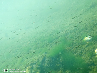 三防手机AGM X3的水下拍攝
