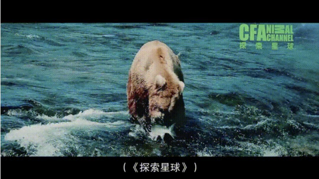 可能是年度最好的华语电影