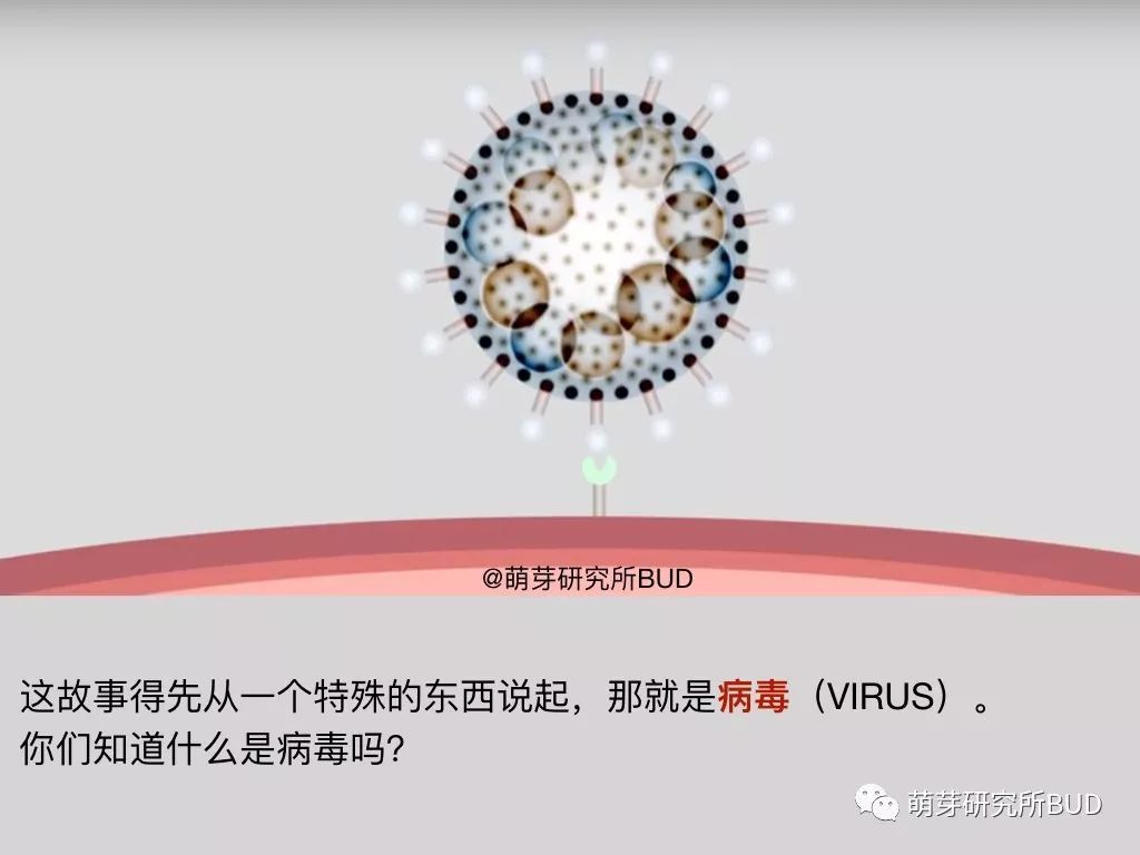 孩子不懂什么是新型冠状病毒，看这篇科普图画，简单通俗易懂