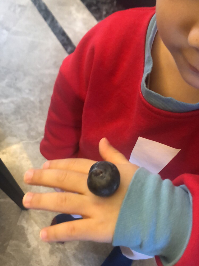 怡颗莓大果蓝莓