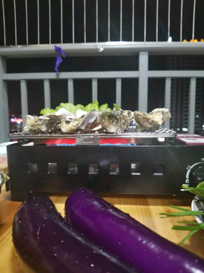 电热烧烤炉