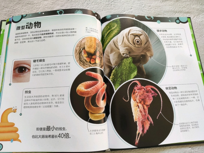 北京联合出版公司绘本/图画书
