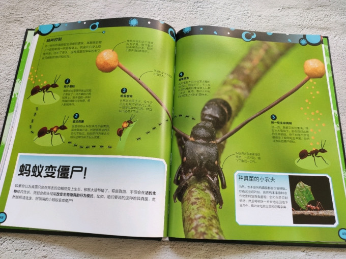 北京联合出版公司绘本/图画书