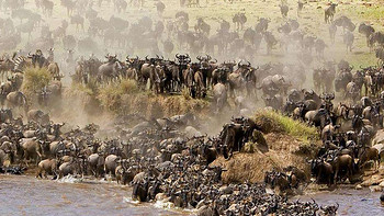 旅游攻略 篇三百六十九：如果给自己一个去坦桑尼亚的理由，那绝对是这里的国家公园 