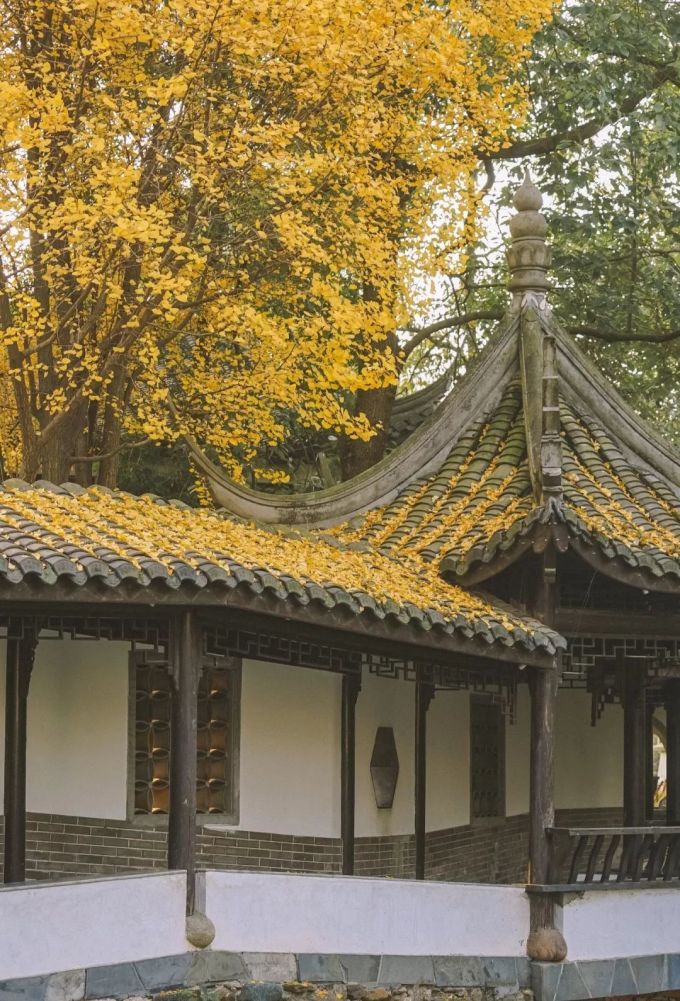 我的快乐:火锅烤肉炸鸡奶茶,会回来的!