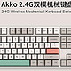 Akko 9009系列 2.4G双模机械键盘避坑指南