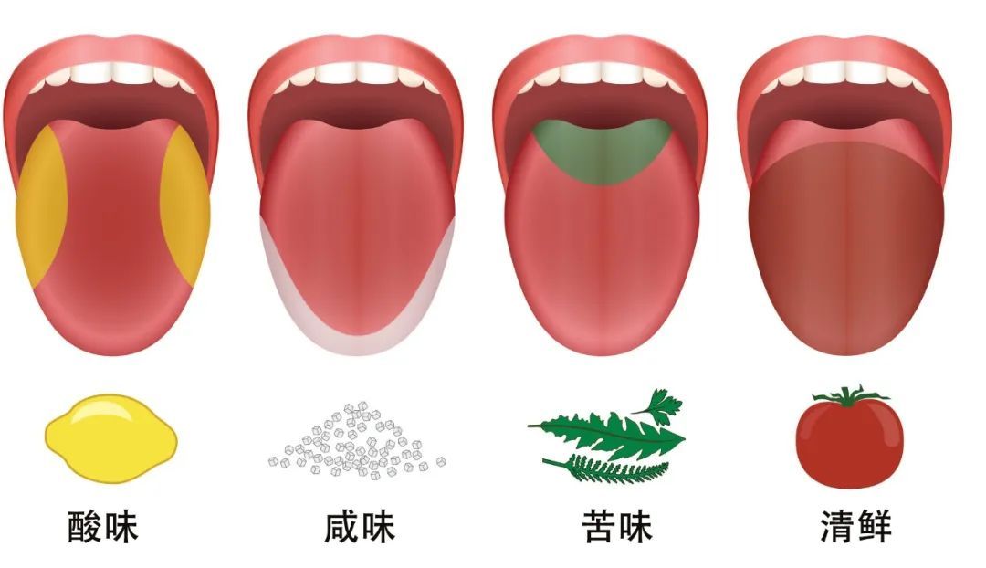 喝酒真的很贵？这有一份80元的入门清单