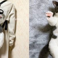 宛如背一隻真猫出门!日本「整隻猫咪后背包」狂洗版网络,肉球、胡须都神还原,逼真度100%