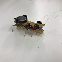 小手工 篇一：简单易懂！和孩子一起做电动小昆虫