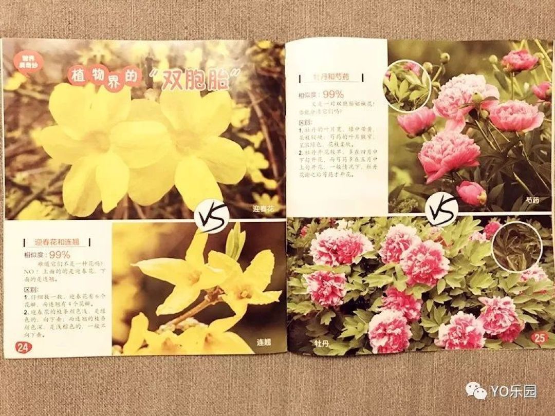 儿童杂志订阅评测、纯干货,这十多种儿童杂志早教内容全解析!