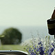 阿汤哥逆势而上，《壮志凌云2》北美提档两天，定于6月24日上映