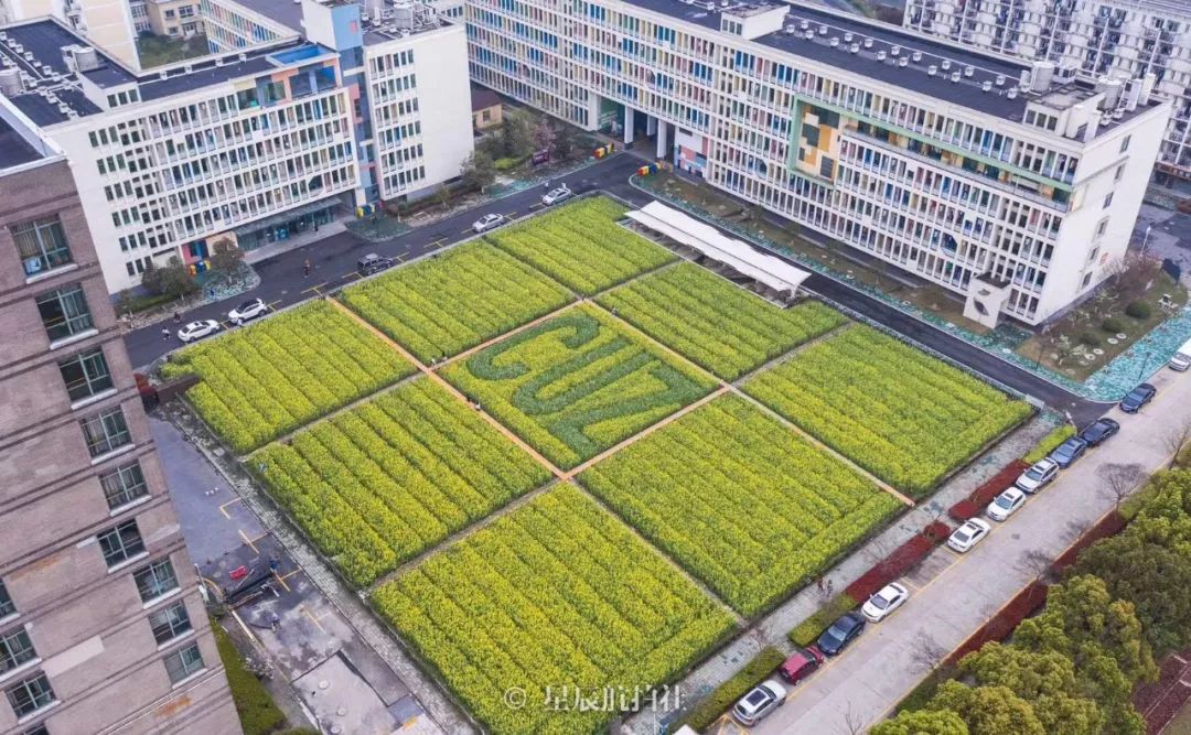 “史上最长寒假还没结束”，好想回杭州上学啊！