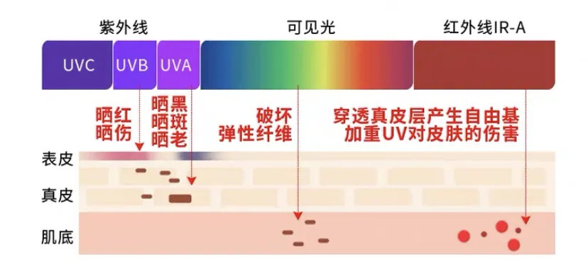 不防晒白人也会显老喔，一文读懂热门防晒选手！