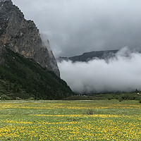 等疫情过去，要好好出去玩一趟。钟情于户外的我如是说 #whyihike