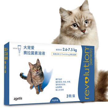 新手养猫指南——养猫一年我花了多少钱？看完我震惊了