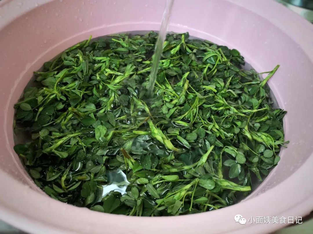 别把这菜当成草,比荠菜还鲜美,春天吃清热祛湿,护肝降三高!