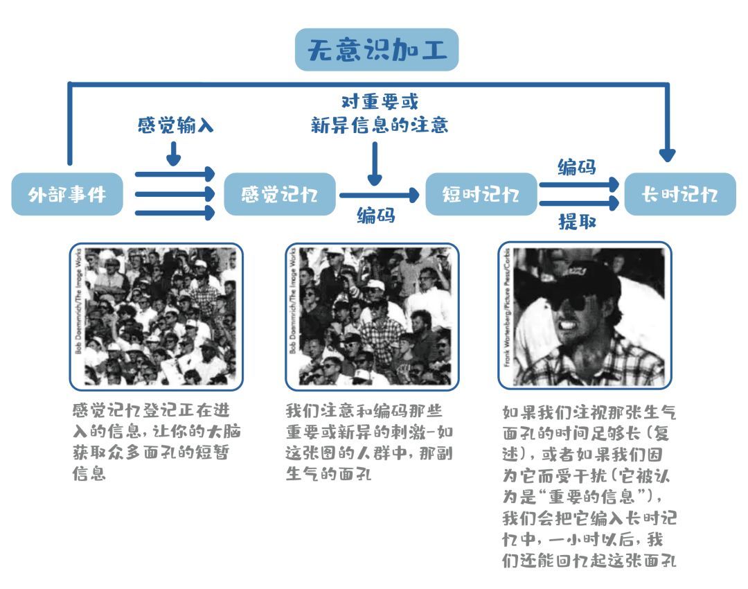 教娃累瘫？这些记忆奥秘​，该早点知道