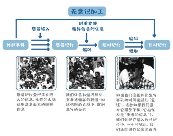教娃累瘫?这些记忆奥秘,该早点知道