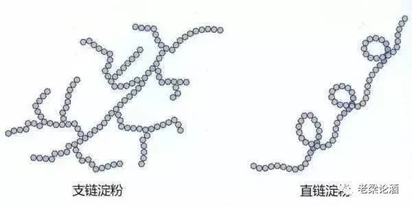 走进茅台酒的酿造原料2——红缨子高粱篇