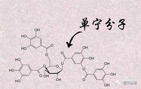 走进茅台酒的酿造原料2——红缨子高粱篇