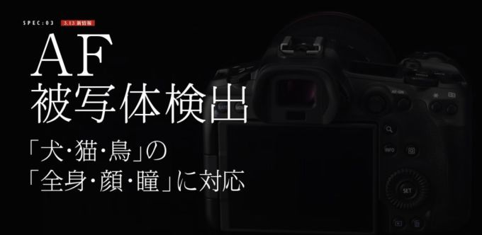 相机夜话 | 再谈EOS R5 除了满足想象之外
