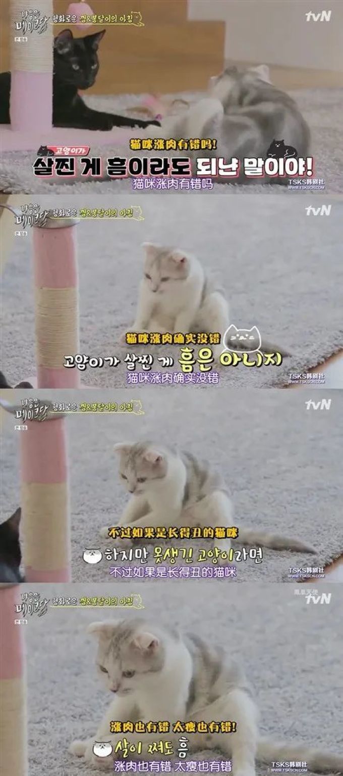 你是爱他的灵魂,还是馋他的身子?