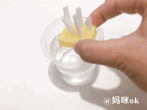 自从做了这个透亮的Q弹蛋,我成了娃心中超厉害的妈!简单易上手的小实验好玩还能涨知识!