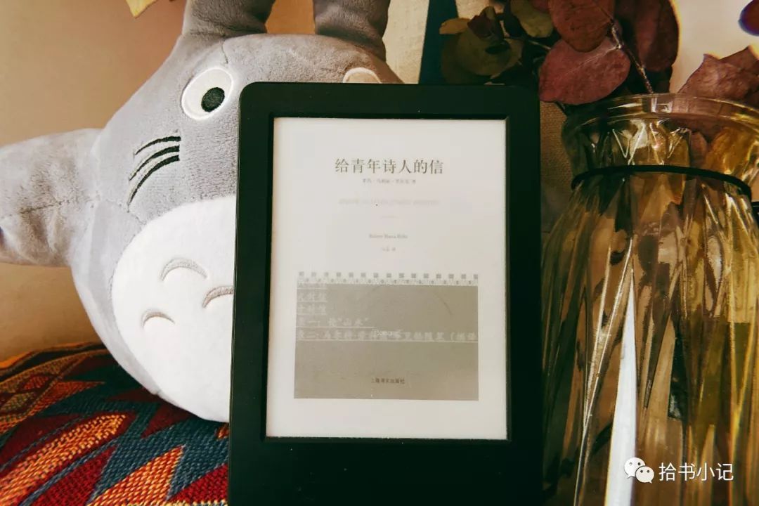2019，我们在 Kindle 看过最棒的17本书！