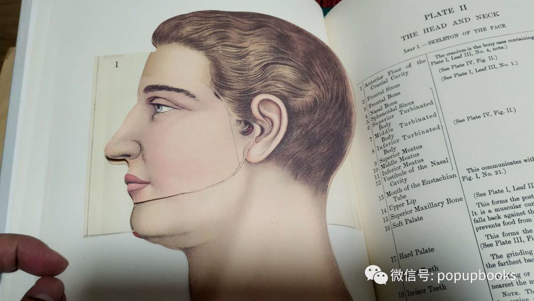 一秒:看看这次有什么新鲜立体书