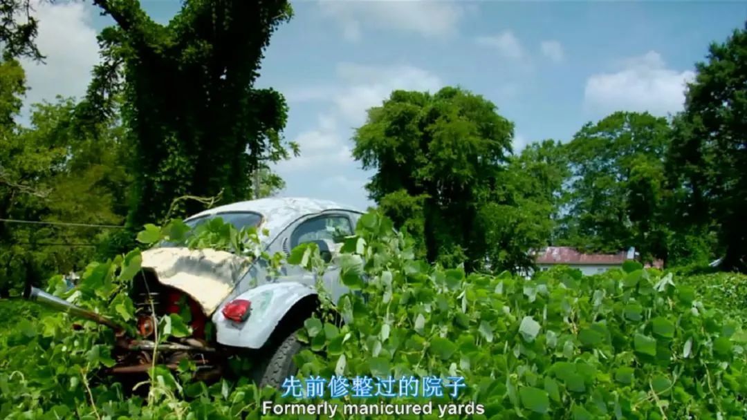人类消失后,地球会变好吗?