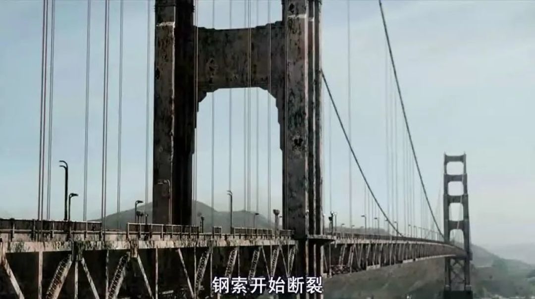 人类消失后,地球会变好吗?