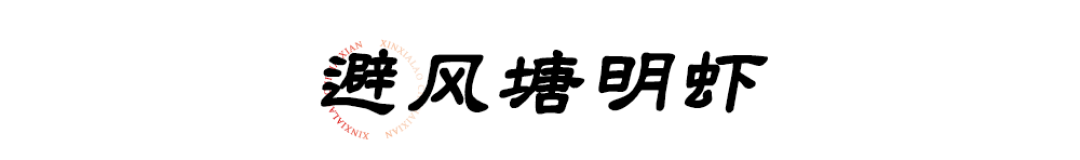 半价吃海鲜,连嗨1个月!长沙这家口碑海鲜火锅店让你吃到扶墙走!