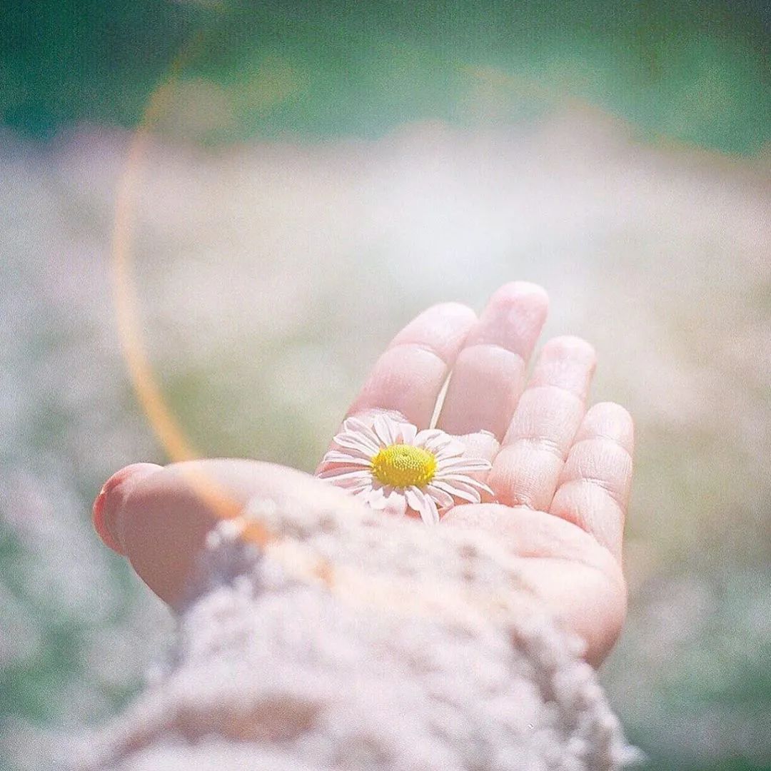 你把花拍再美，花也不会嫁给你！得拍妹子···