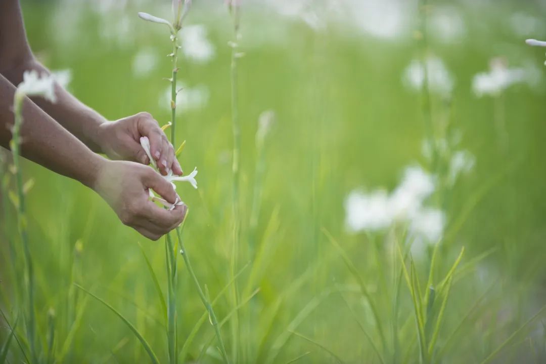 天性香水 | 灵魂盛放与挥洒天性的嗅觉载体