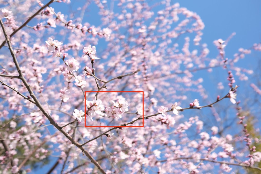 日渐完美的随身相机，富士X100V开箱体验