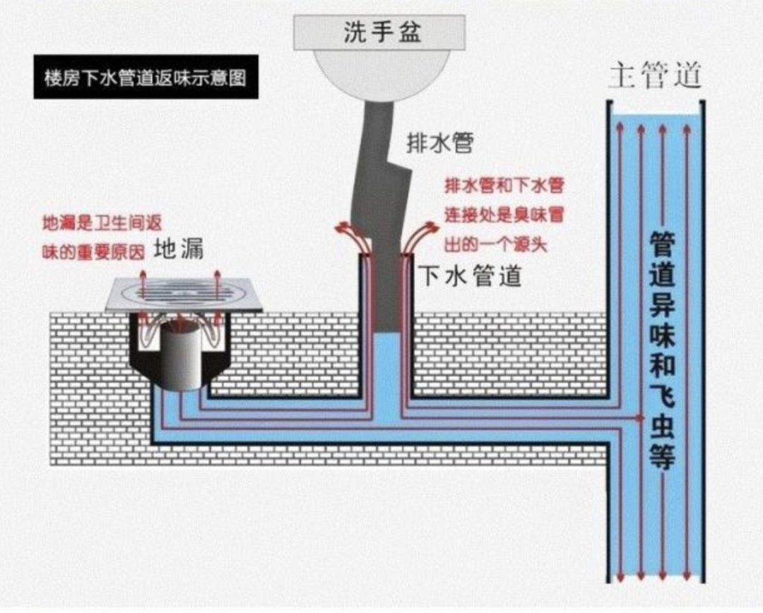 厨房为什么有异味,味道究竟是从哪里来的,怎么做才能防患未然?