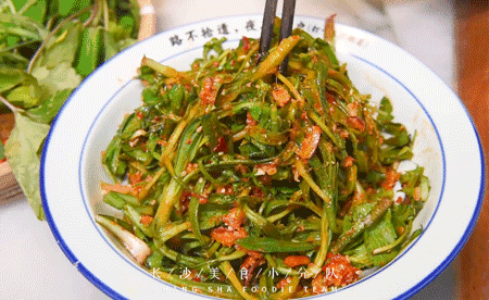 一年一季头把乡野菜,对不起这种“野”我戒不掉
