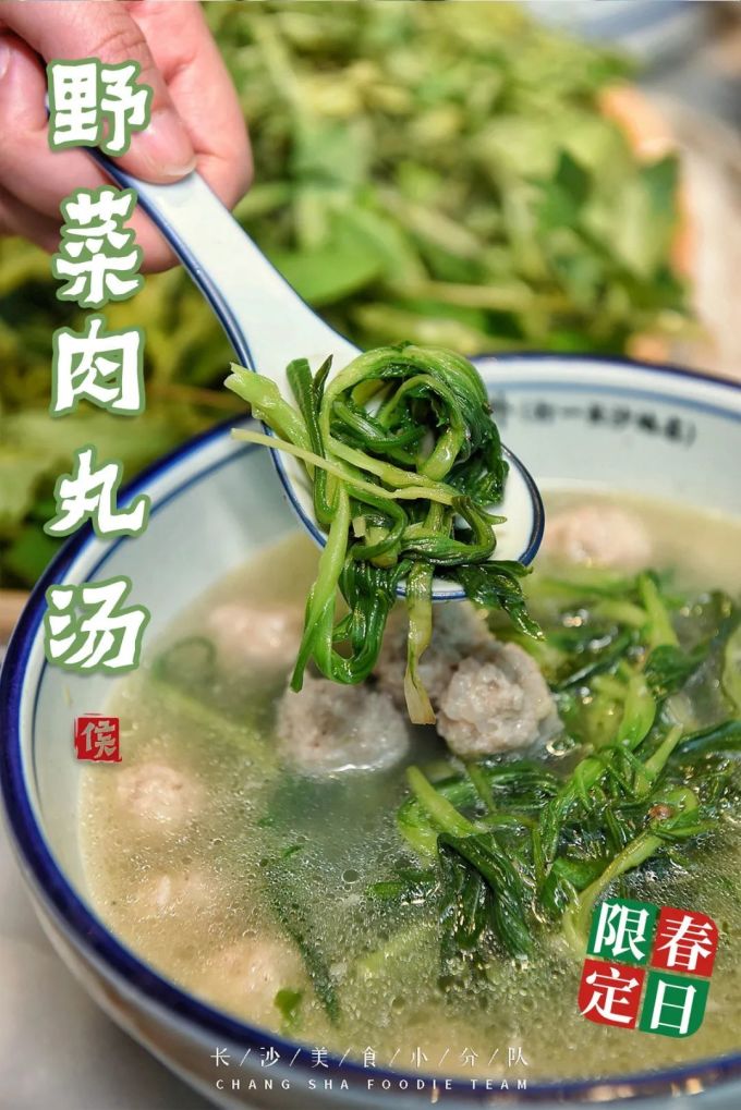 一年一季头把乡野菜,对不起这种“野”我戒不掉